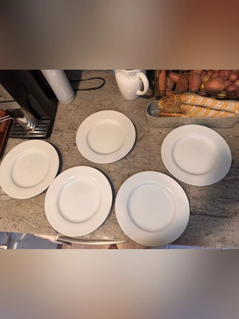 Pottery Barn White Textured Dinner Plates - set of 5